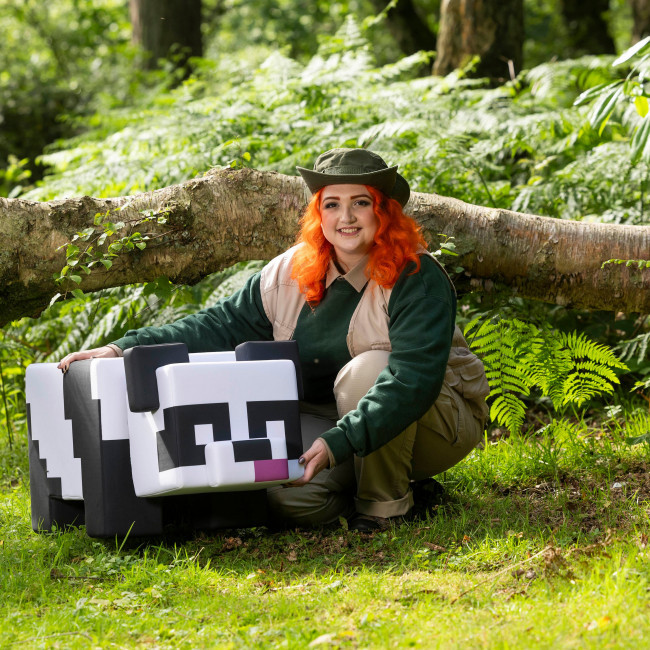 Alton Towers reveals exclusive reward for Minecraft Meet the Mobs pop-up event